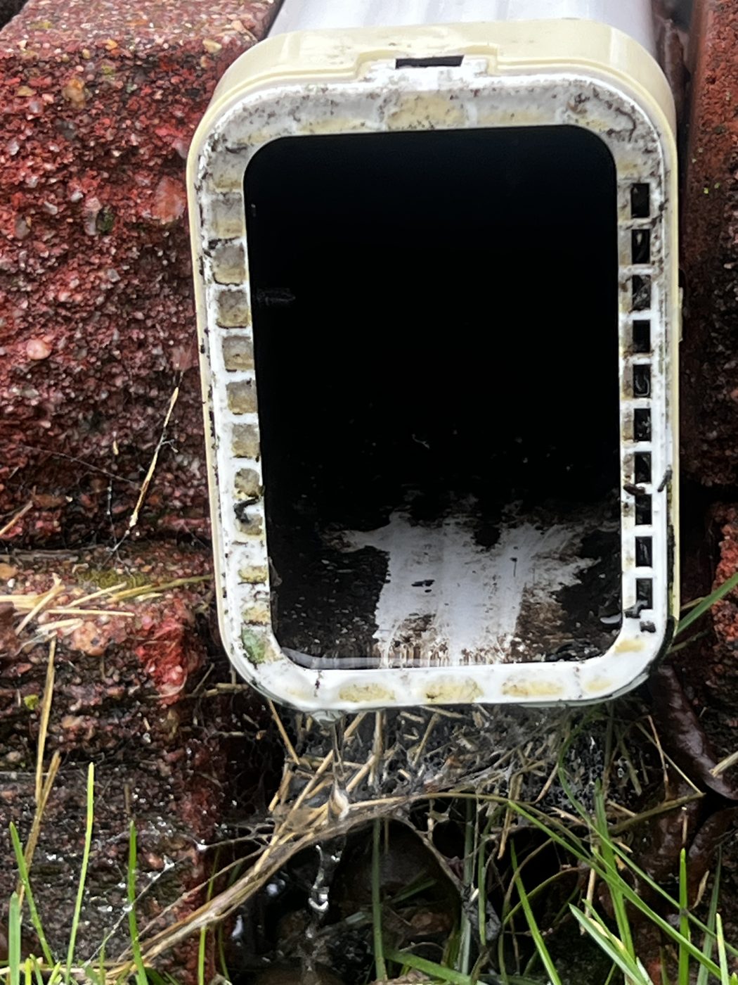 How Do I Spot Water and Drainage Problems in a Des Moines Home Before I Buy It?